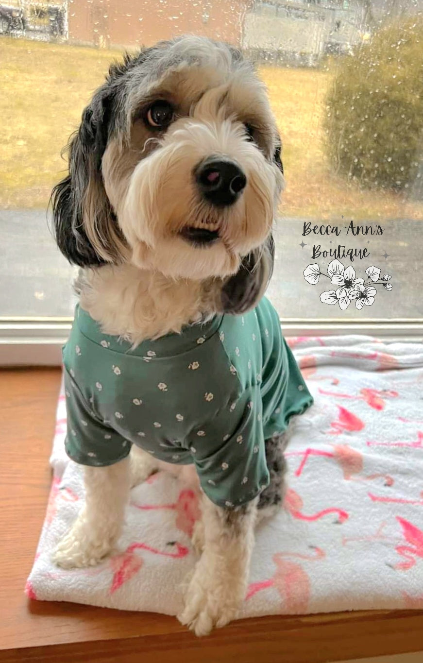 Pet Sweater