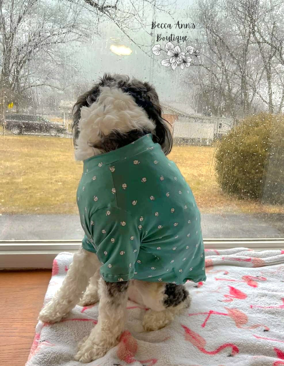 Pet Sweater
